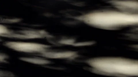 Black &amp; White tree shadows  moving on the wall. 2 Stock Footage 41421307