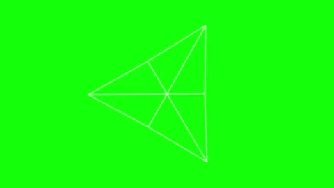 Black White Triangle Horizontal 16:9 Green Screen Vídeo Stock 340461395
