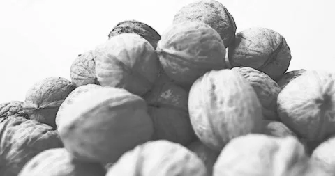 Black white Walnuts rotation, side view, seamless loop Pencil sketch art style Stock Footage 282170124