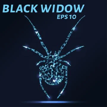 Black widow consists of points, lines and triangles. The polygon shape in t.. Stock Illustration