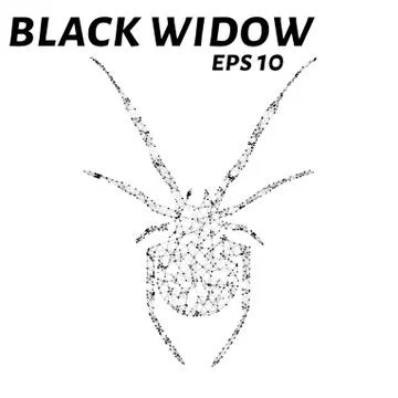 Black widow consists of points, lines and triangles. The polygon shape in t.. Stock Illustration