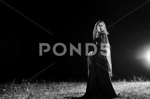 Black widow Stock Photos