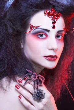 Black widow Stock Photos