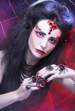 Black widow Stock Photos