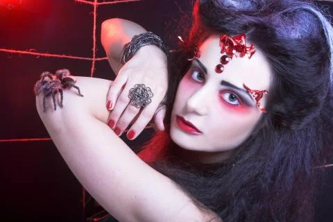 Black widow Stock Photos