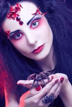 Black widow Stock Photos