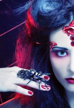 Black widow Stock Photos