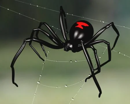 Black widow spider Stock Illustration