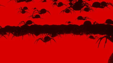 Black widow spider silhouettes 3d seamless loop bright red Stock Footage 218394024