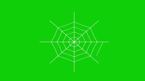 Black widow spider sitting on a symmetrical white web against a bright gree.. Stock Footage 343506546