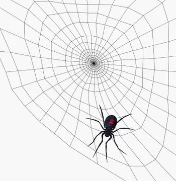 Black Widow Spider on Web Illustrazione stock