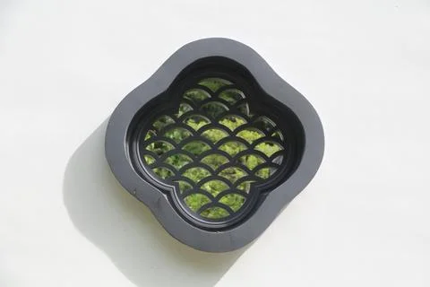 A black window with a green reflection of trees Stock Photos