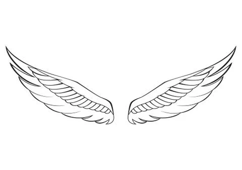 Black wings on a white background Stock Illustration