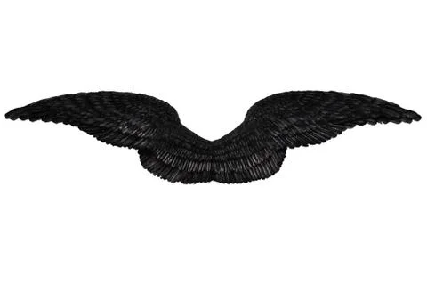 Black wings on white Stock Photos