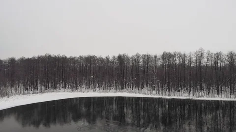 Black winter lake Stock Footage 102521236