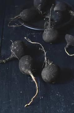 Black winter radish Stock Photos