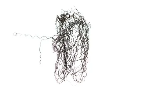 Black wire on white background Stock Photos
