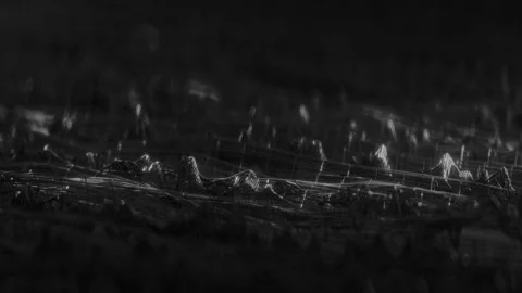 Black wireframe network shape seamless loop 3D render animation Stock Footage 158914445