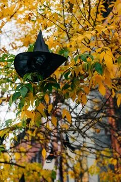 Black witch hat hanging in a tree during autumn in a neighborhood filled with Foto stock