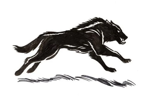 Black wolf Illustrazione stock