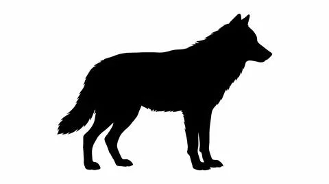 Black Wolf Silhouette Illustration Stock Illustration