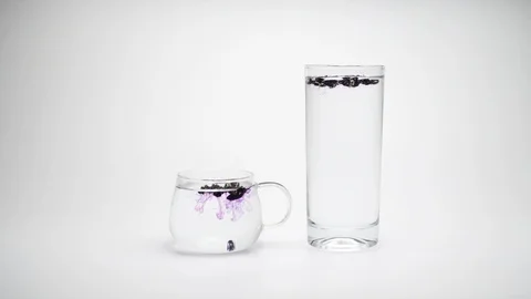 Black wolfberry Stock Footage 111651282