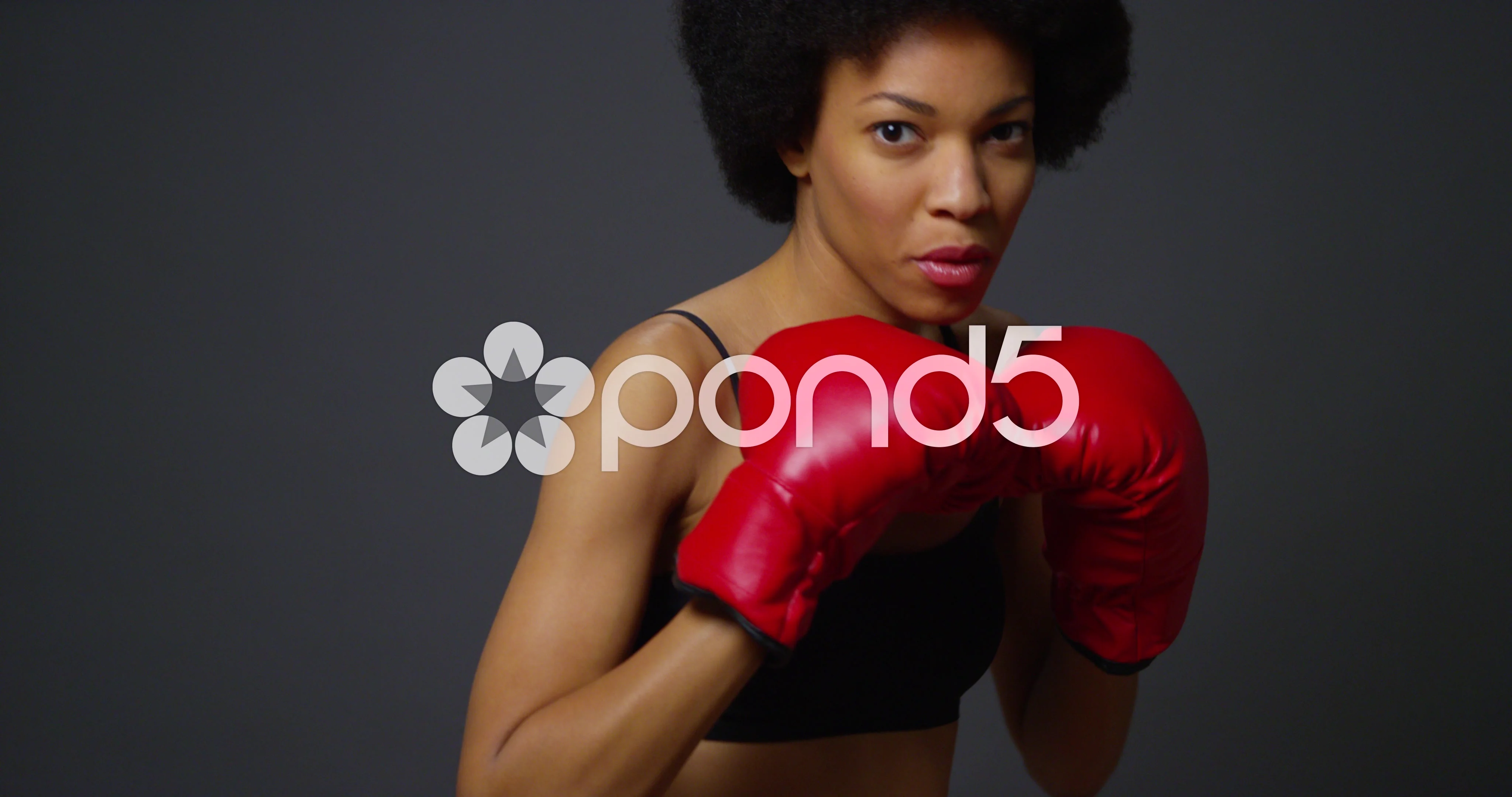 2,584 Black Women Boxing Stock Photos, High-Res Pictures, and