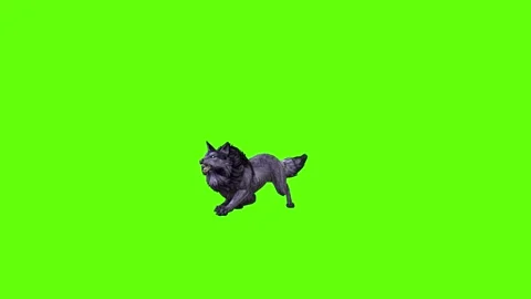 Black zombie Wolf jump around  green screen animation 3D rendering Stock Footage 296959457