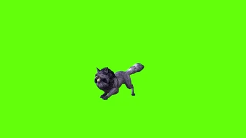 Black zombie Wolf sit roar green screen animation 3D rendering Stock Footage 296959670