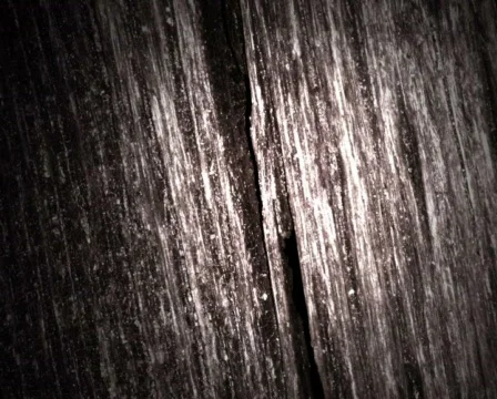 Black Zoom Видео 102396