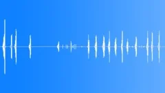 BlackBacked Robin Song CU Sound Effect