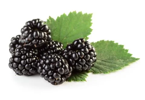 Blackbarries with leaf Stock Photos