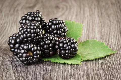 Blackbarries with leaf Foto stock