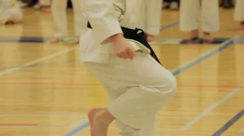 Blackbelts at a karate competition Stock Footage 10921320