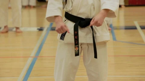 Blackbelts at a karate competition Stock Footage 132733029
