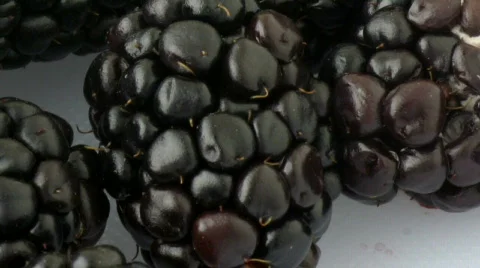 Blackberries 1 Time lapse close up 1 HD Stock Footage 760665