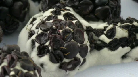 Blackberries 2 Close up 2 Time lapse HD Stock Footage 760701