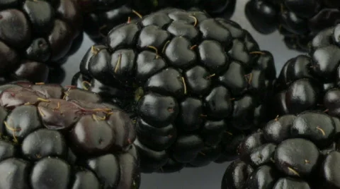 Blackberries 2 Time lapse Close up HD Stock Footage 760667