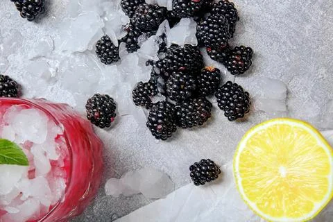 Blackberries and lemon slice on a light stone surface Stock Photos