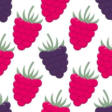 Blackberries and raspberries seamless pattern Illustrazione stock