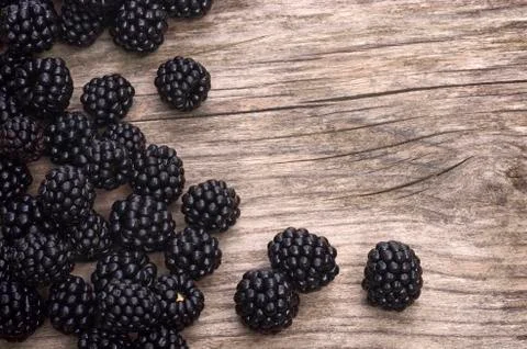 Blackberries background Stock Photos