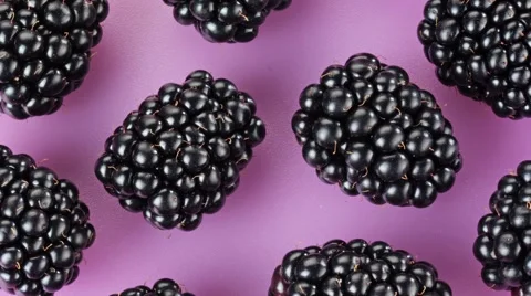 BLACKBERRIES IN CLOSE UP MACRO TRACKING SHOT OVERHEAD 動画素材 62232339