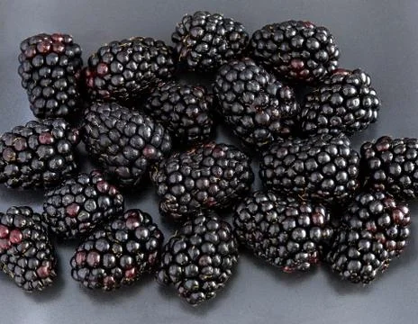 Blackberries close-up Stock Photos