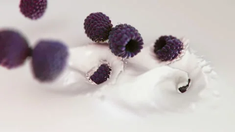 Blackberries Falling Into Milk in 4K Super slow motion Video stock 140405661