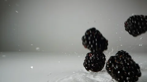 Blackberries falling on water surface. Slow Motion. Stock Footage 128771002