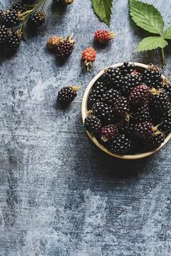 Blackberries flat lay, copy space, summer fruits background, ripe blackberry, Stock-Fotos