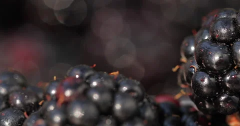 Blackberries in Focus with Background Fruit Turning Vídeo Stock 135633650