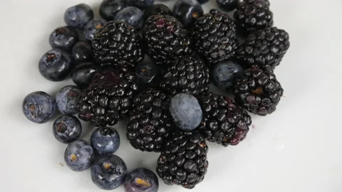 Blackberries Stock Footage 232911153