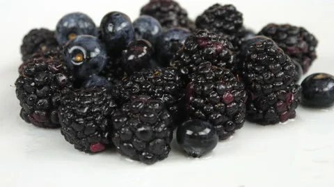 Blackberries Stock Footage 232911252