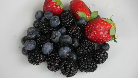 Blackberries Stock Footage 232911253